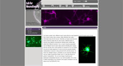 Desktop Screenshot of moore.brain.riken.jp