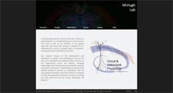 Desktop Screenshot of cbp.brain.riken.jp