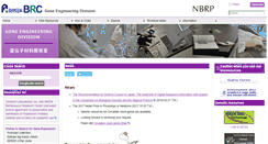 Desktop Screenshot of dna.brc.riken.jp